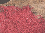Plastic Recycling